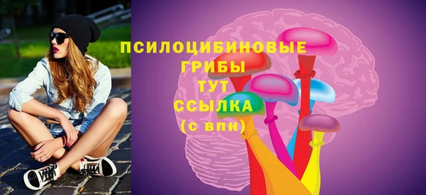 тгк Гусиноозёрск