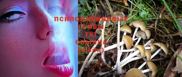 ГАЛЛЮЦИНОГЕННЫЕ ГРИБЫ Горнозаводск