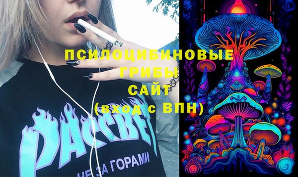 ГАЛЛЮЦИНОГЕННЫЕ ГРИБЫ Горнозаводск
