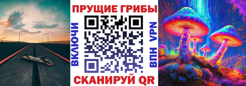 Купить  Светлогорск  Галлюциногенные грибы прущие грибы 